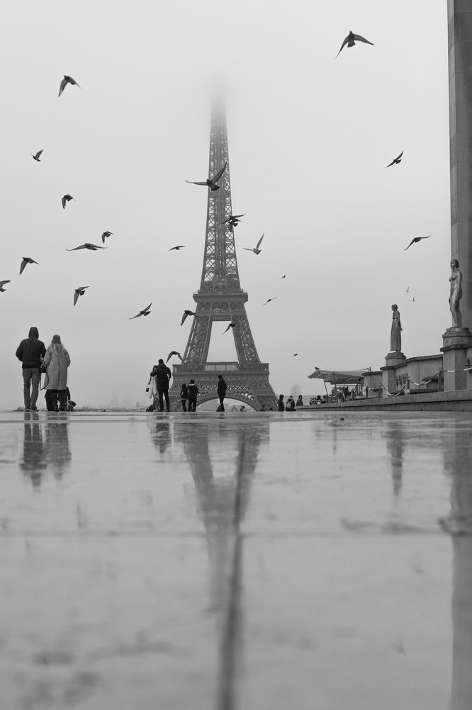 Photograph by Ellen Lichtenheldt