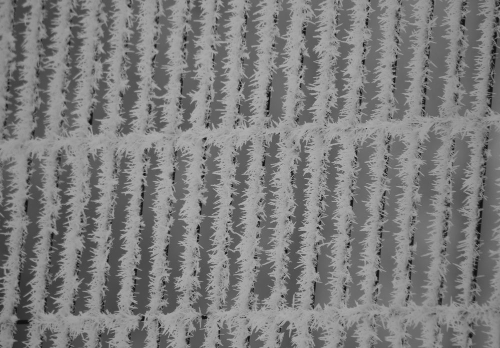 Photograph by Natasha Kim