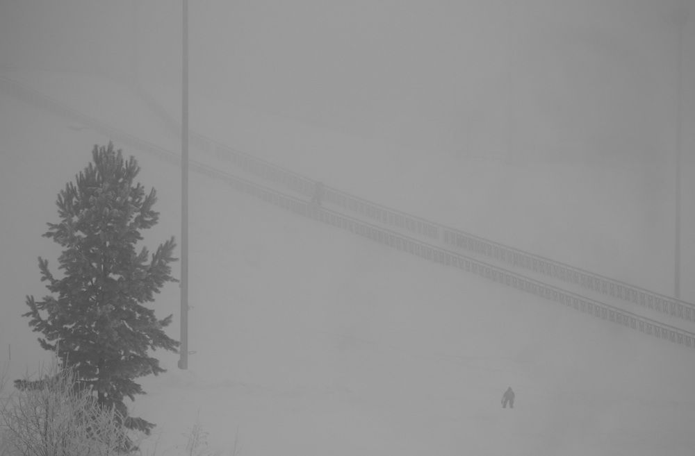 Photograph by Natasha Kim