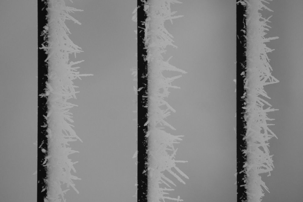 Photograph by Natasha Kim