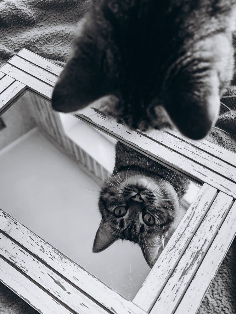 Photograph by Катрина Покумейко