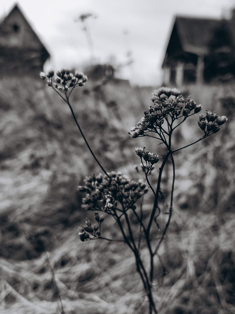 Photograph by Катрина Покумейко