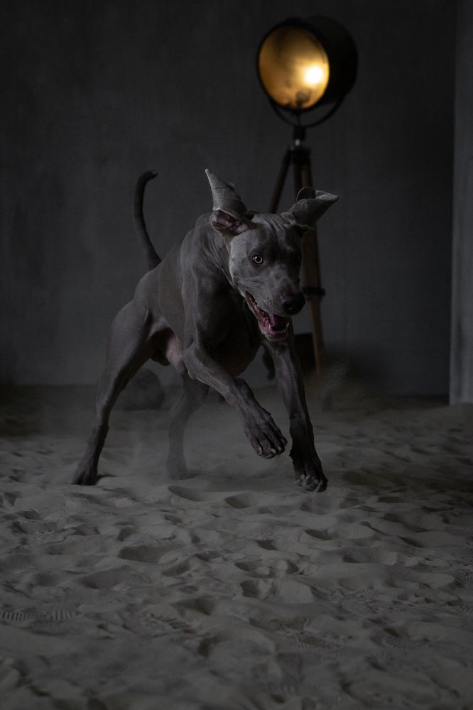 Стремительность