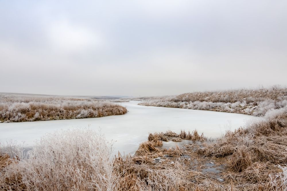 Photograph by Майоров Виктор