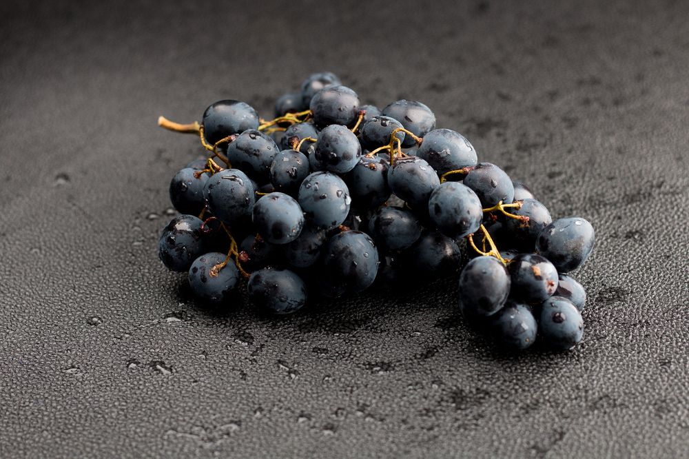 Photograph by Надежда Санникова