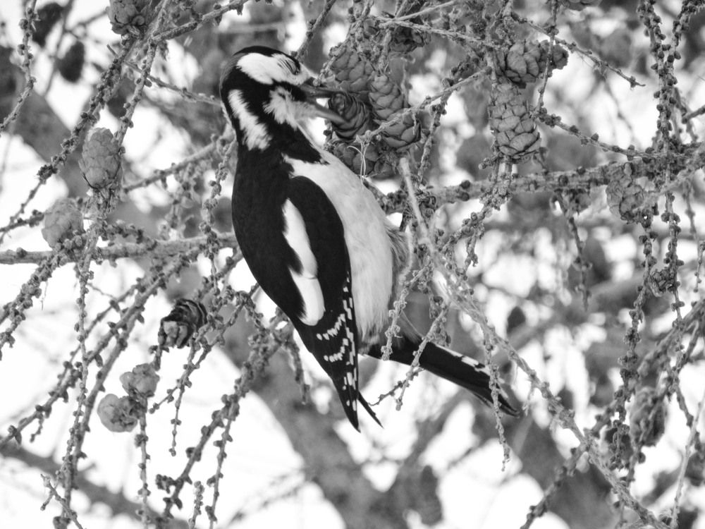 Photograph by Анжелика Трошина