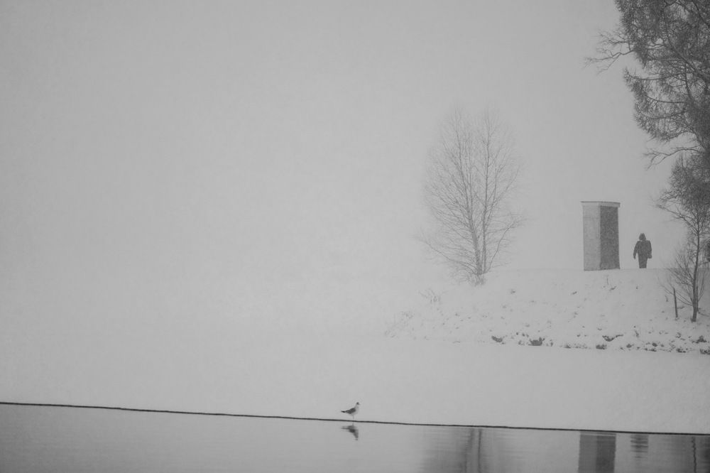 Photograph by Dmitrii Zabuga