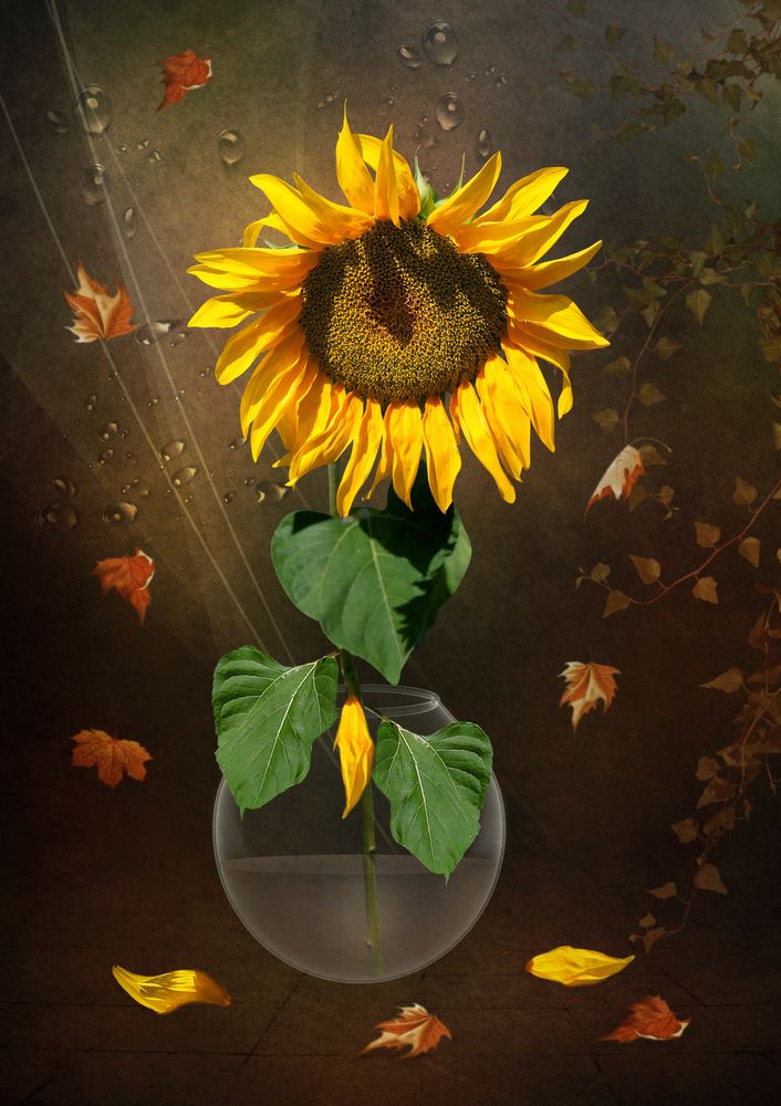 Одиночество