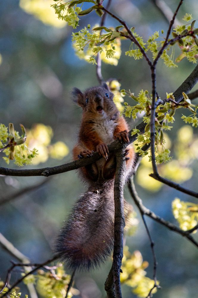 Photograph by Денис Гуляев