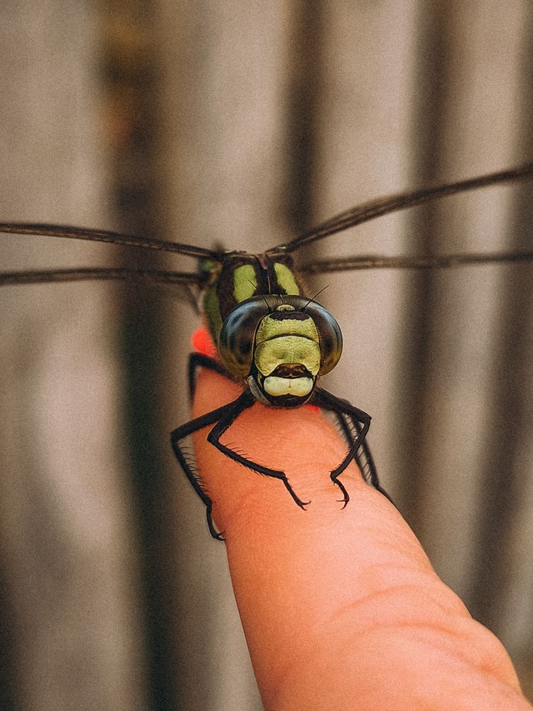 Photograph by Катрина Покумейко