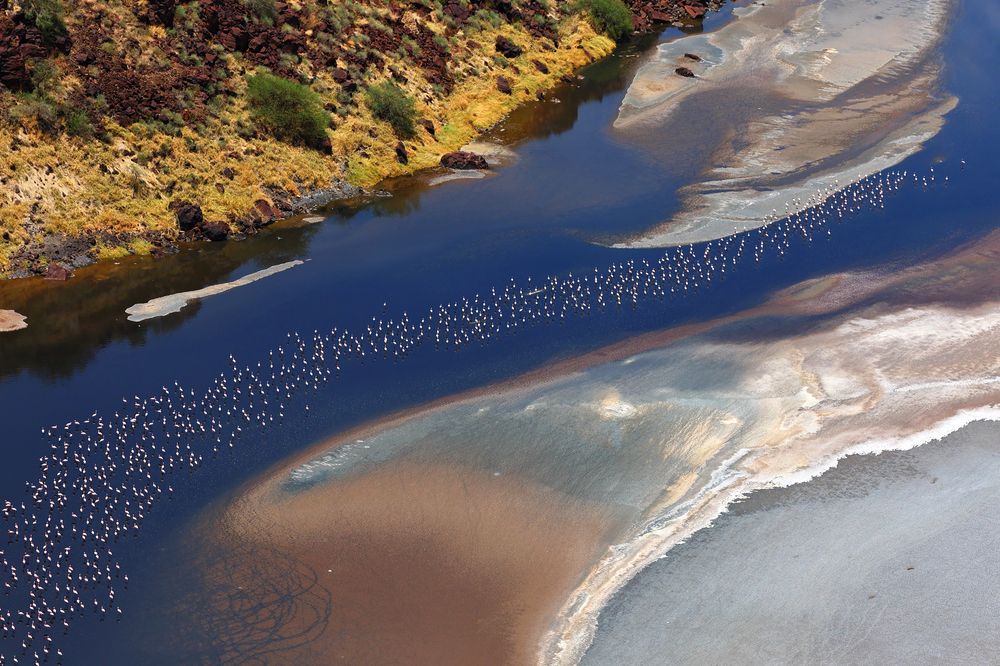 Photograph by Гудков Андрей