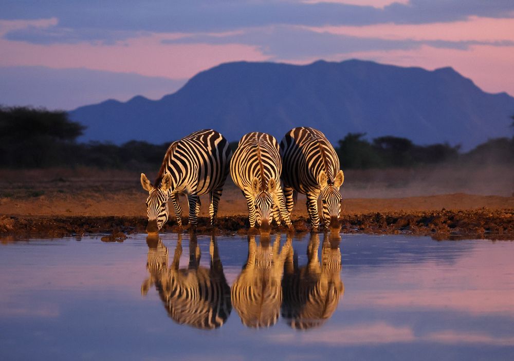 ОДНАЖДЫ ВЕЧЕРОМ