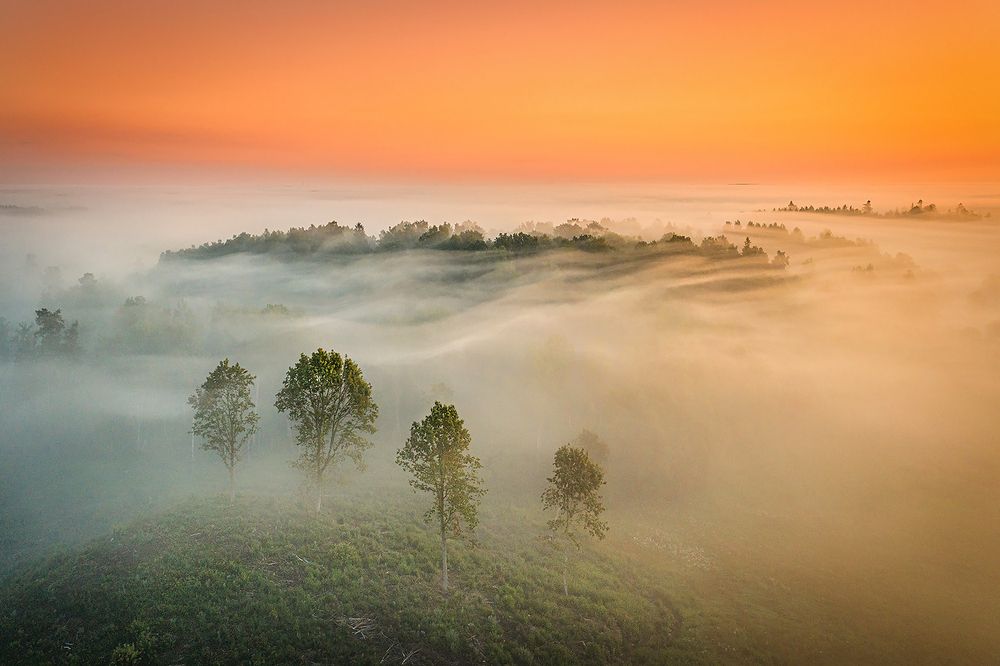 Photograph by Андрей Гринев