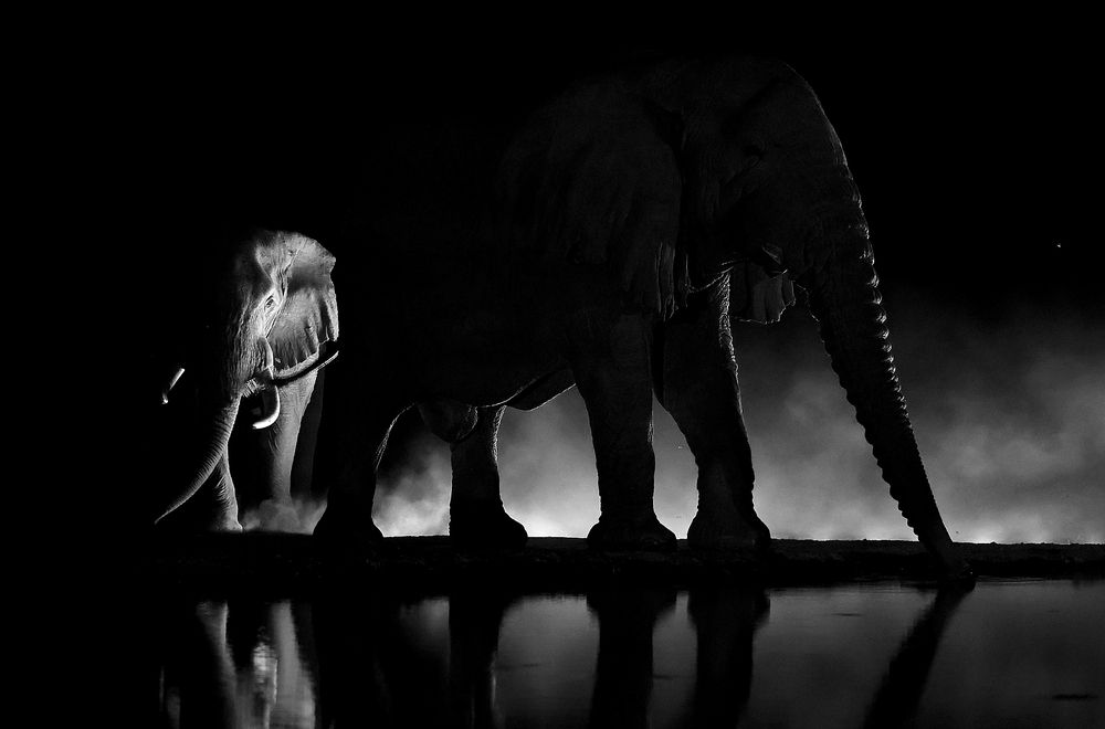 ИНОПЛАНЕТЯНЕ