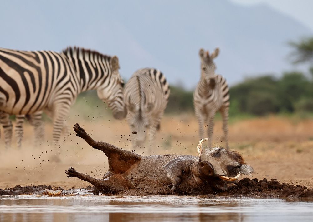 ЖИТЬ НУЖНО В КАЙФ