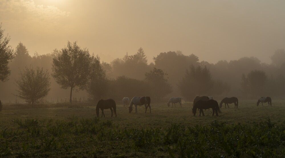 Photograph by Бурняшев