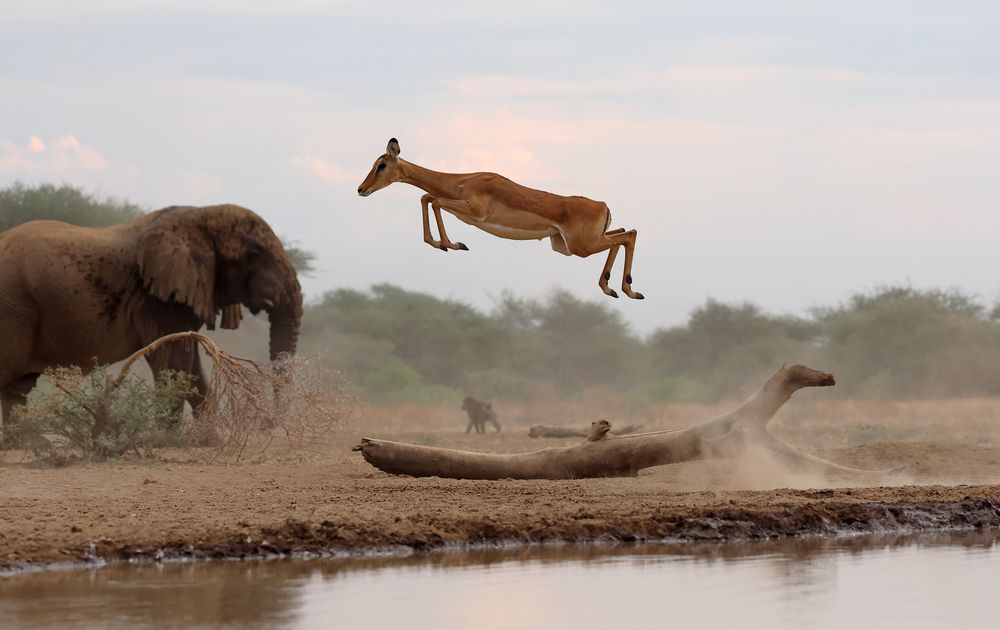 ТАКАЯ ЗАВОДНАЯ