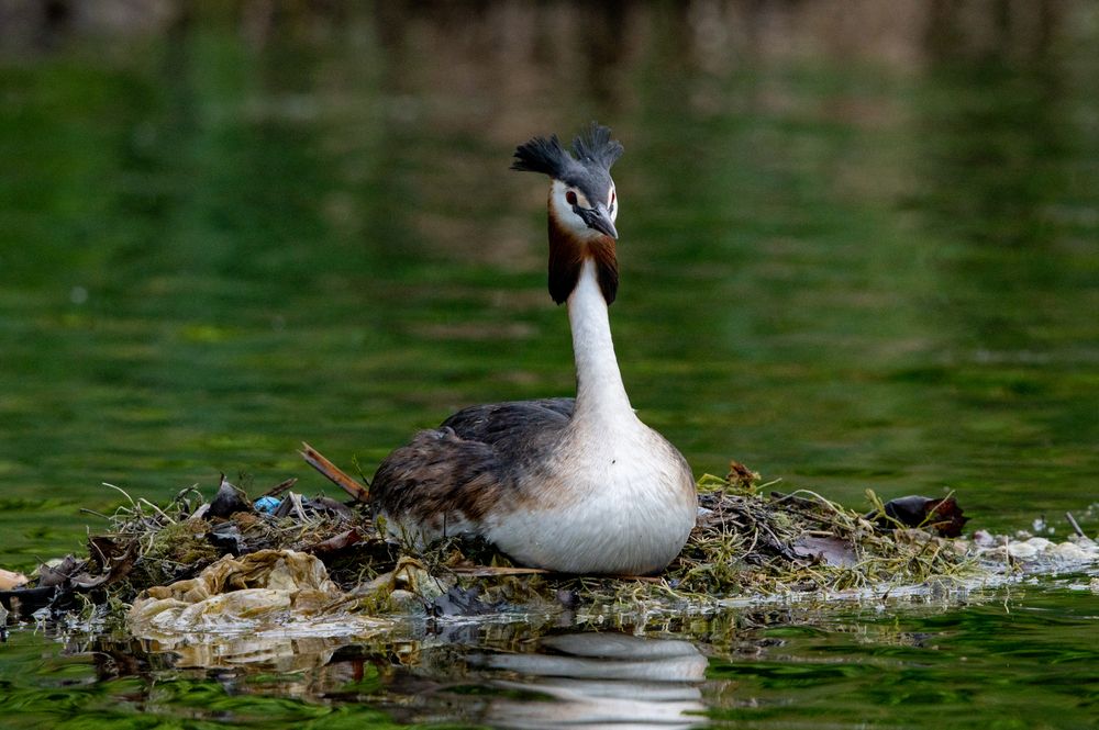 Photograph by Денис Гуляев