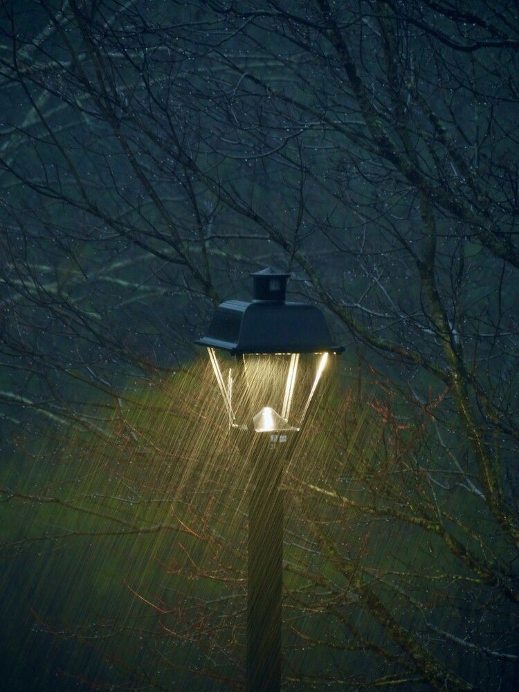 Photograph by Людмила Ярош