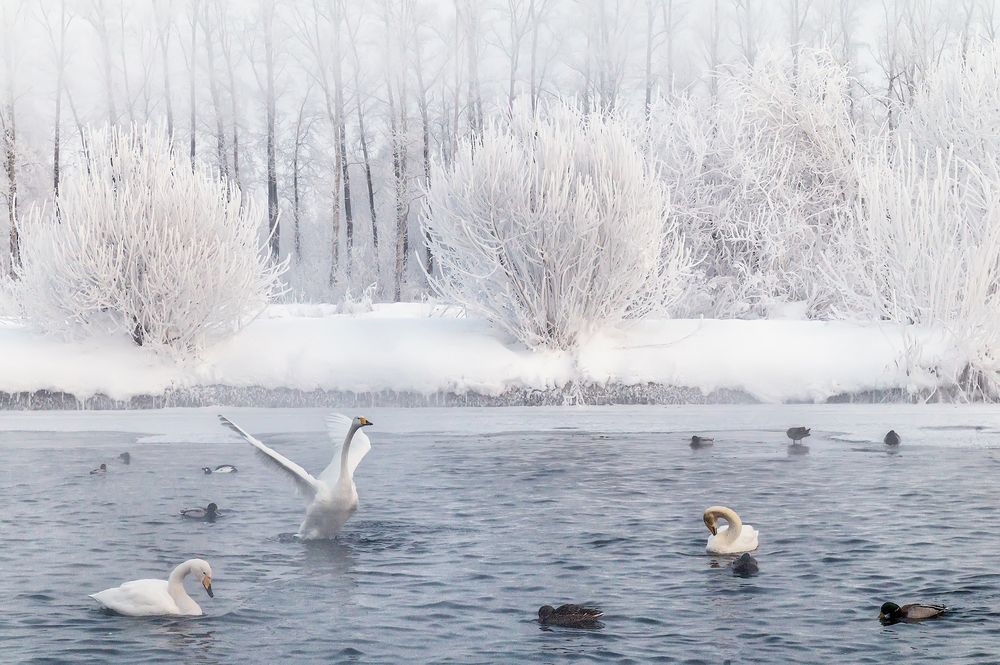 Зимнее озеро