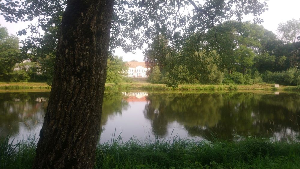 Photograph by Михаил Сербаев