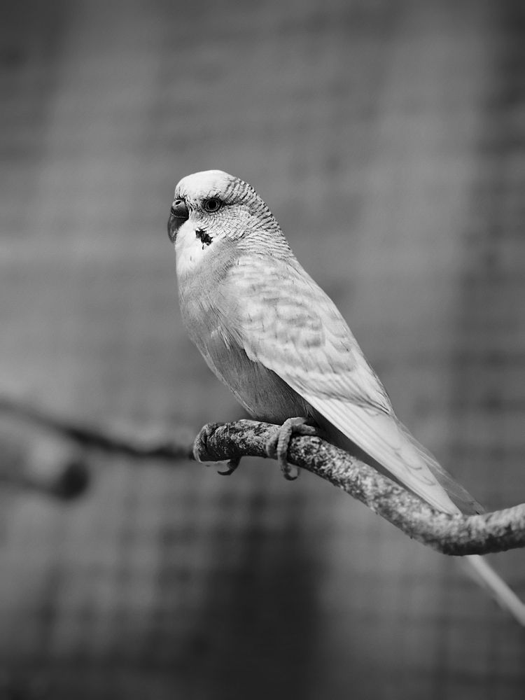 Photograph by Старк Ярослав