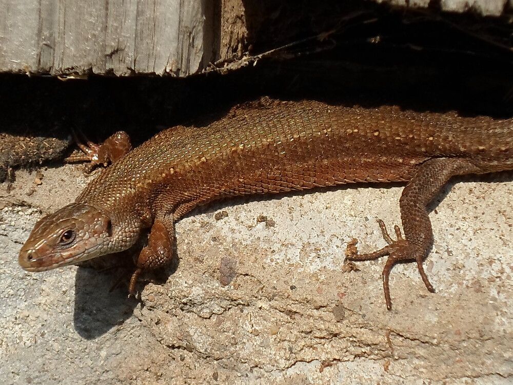 Photograph by Михаил Сербаев