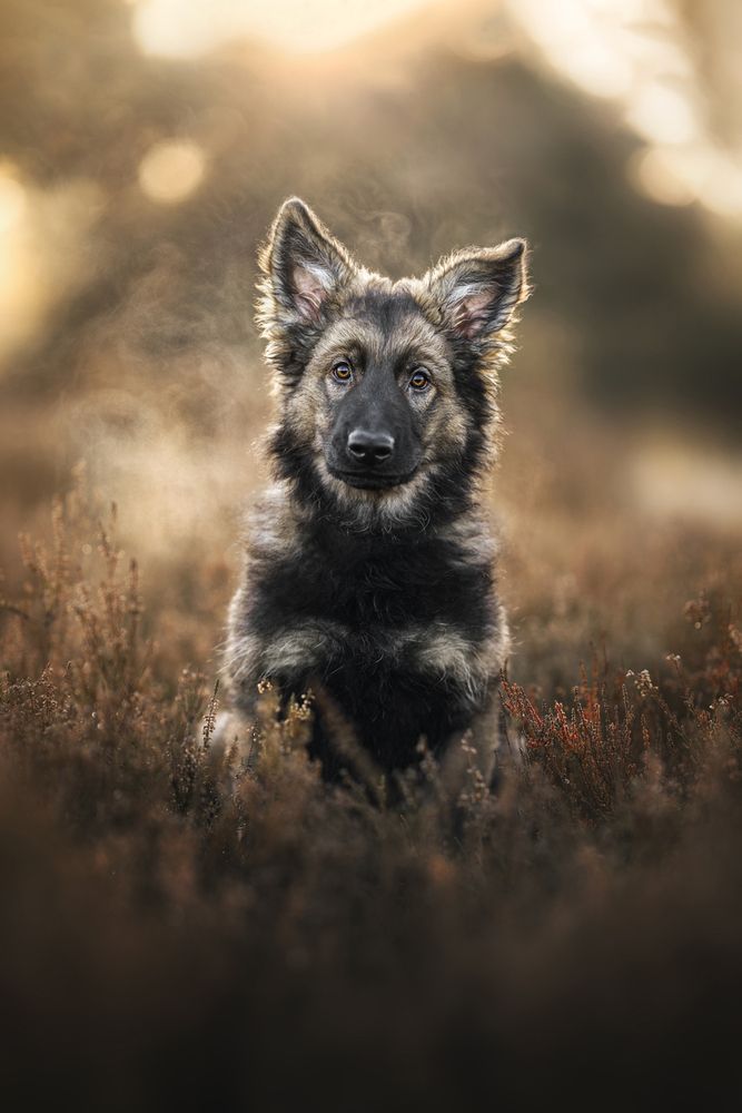 Photograph by Ines Van Doninck