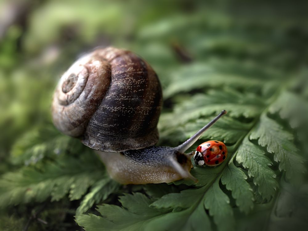 Глаза в глаза/Eye to eye