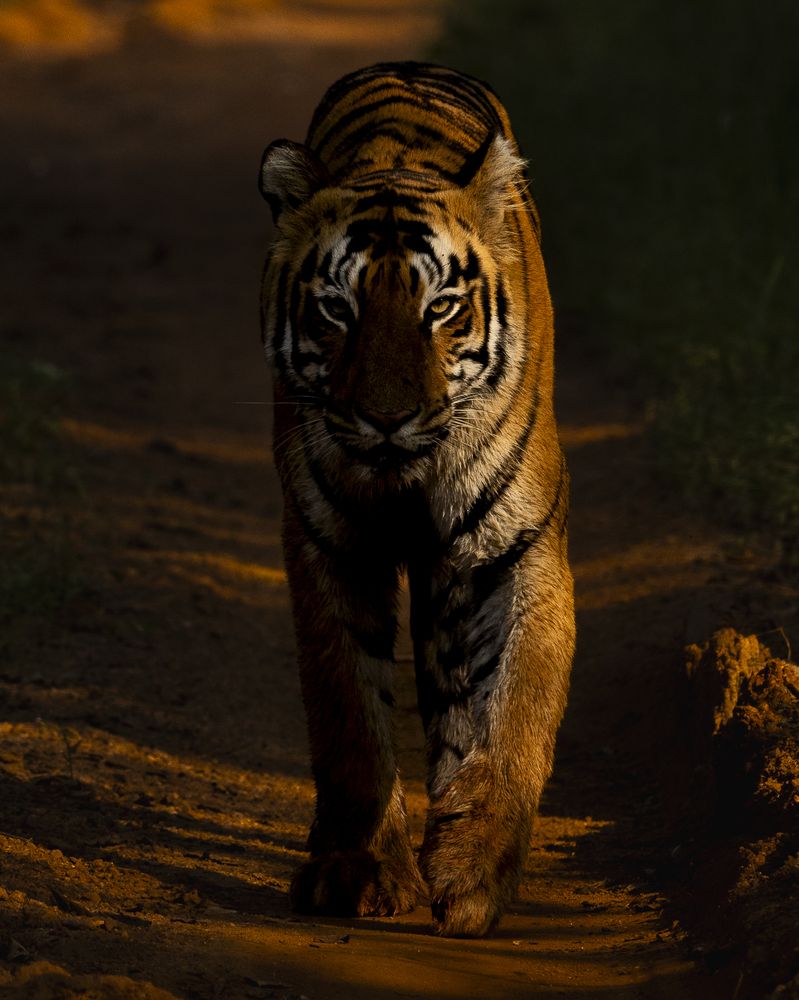 Photograph by Sai Kiran Bhagavatula