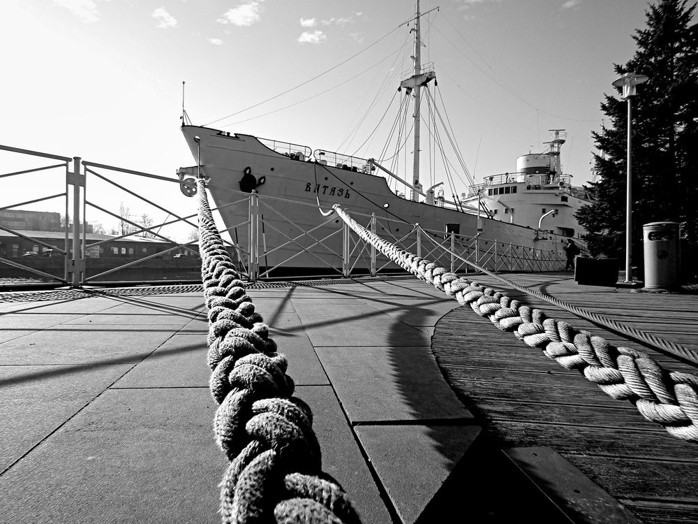 Photograph by Виктор Савельев