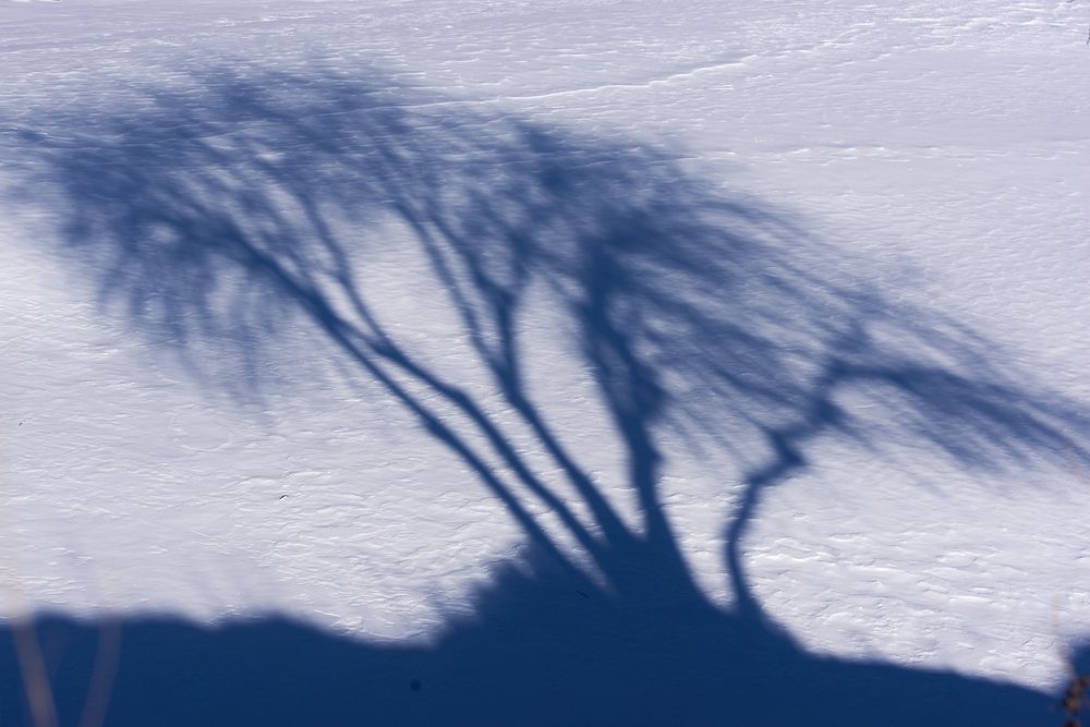 Photograph by Михаил Рогачев