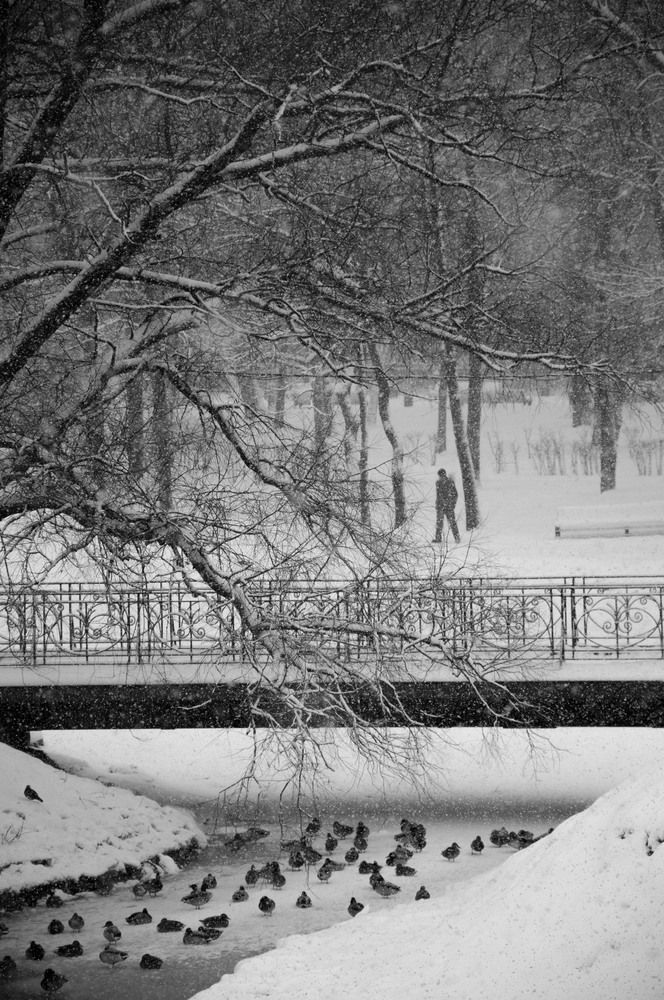 Photograph by Maoqing Che