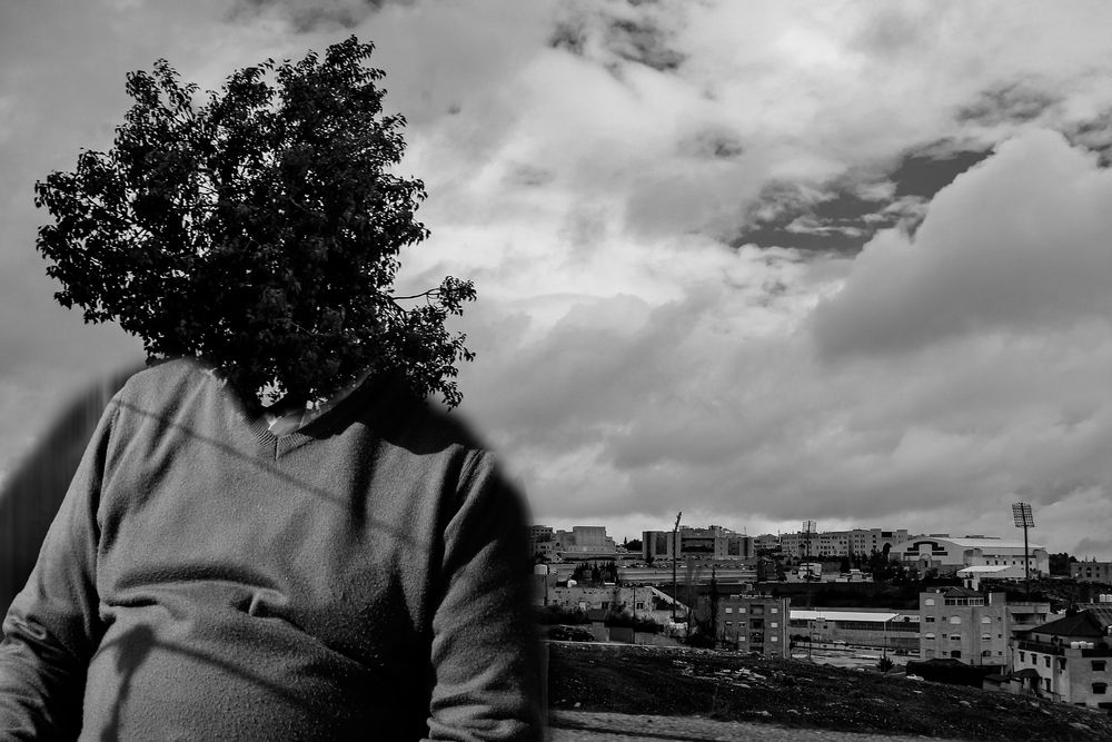 Photograph by Hisham Khatib