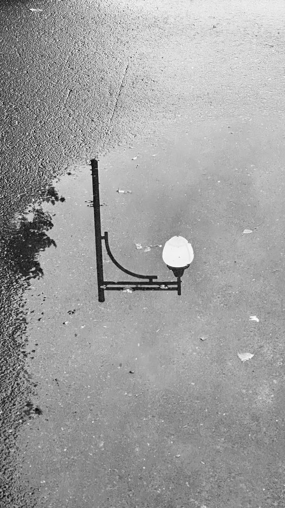 Photograph by Надежда Санникова