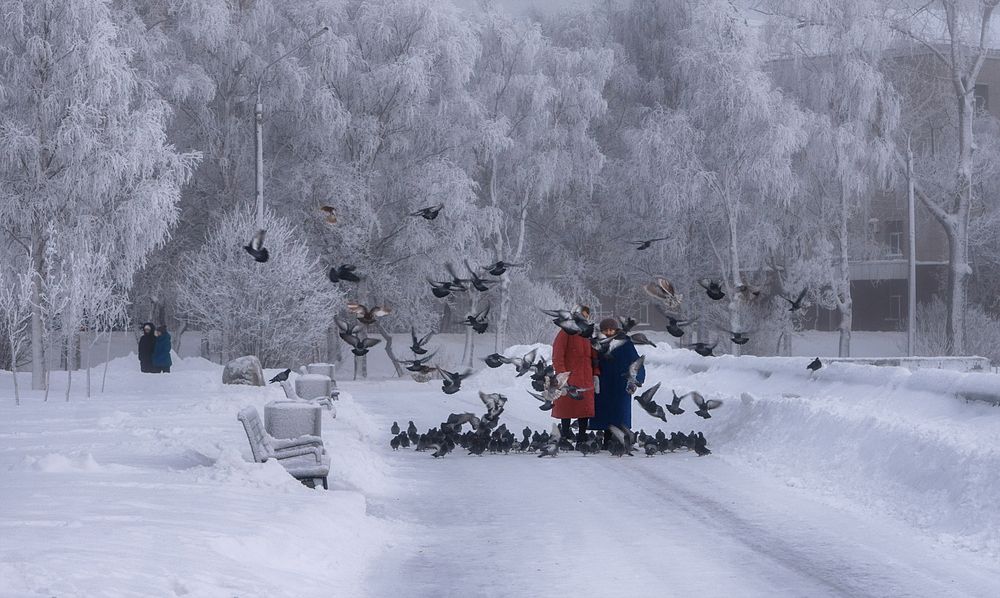 Мороз и голуби