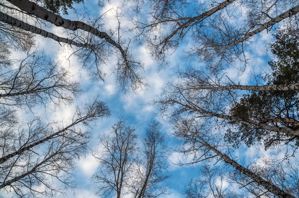 Photograph by Виктор Петров