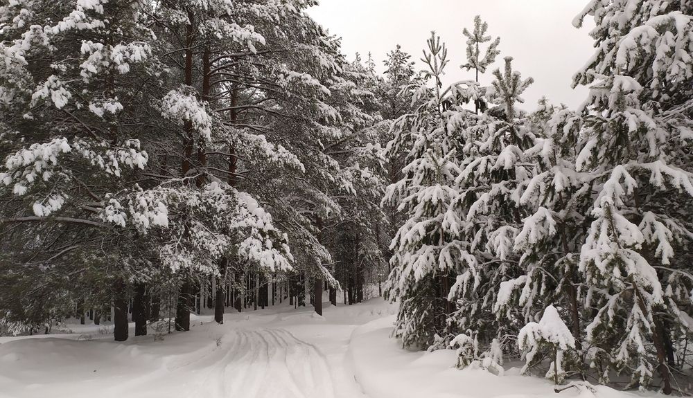 Photograph by Анна