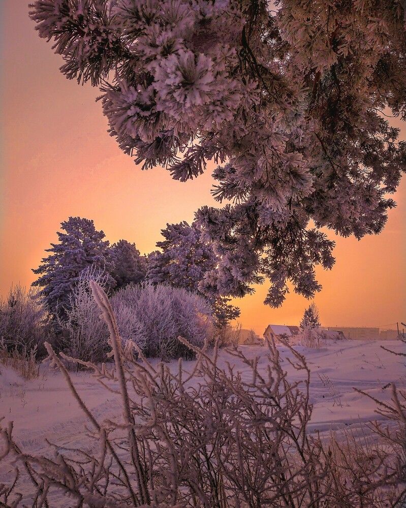 Морозное утро