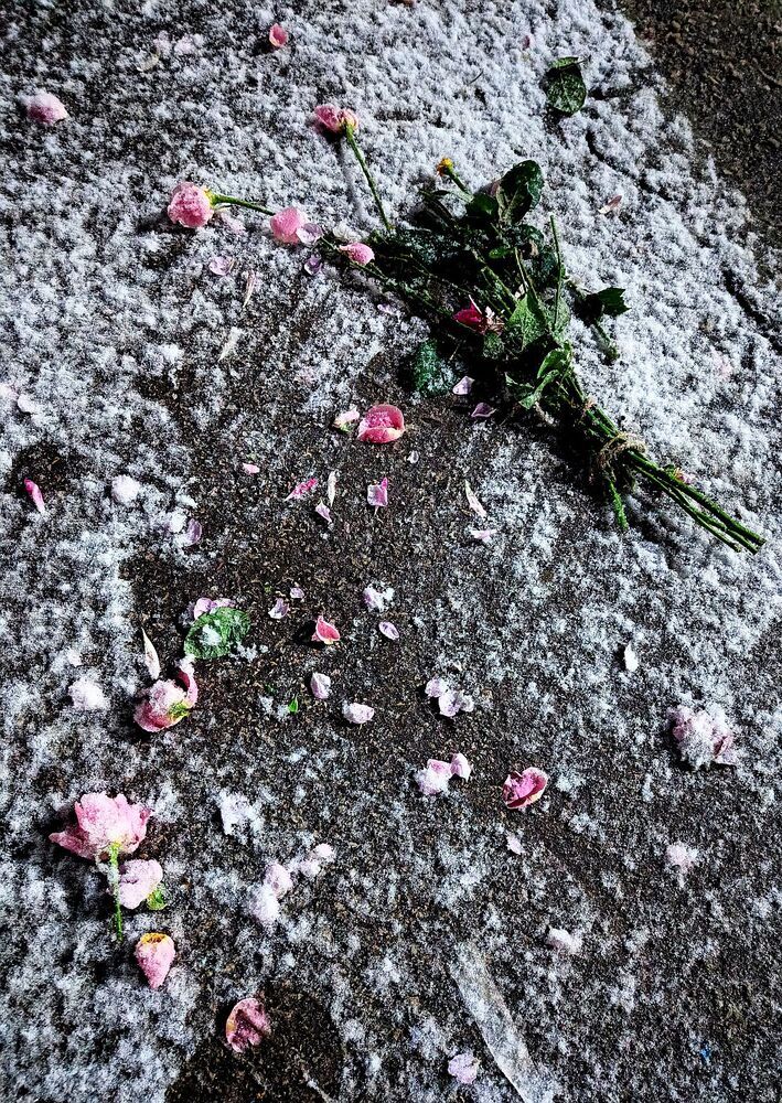 Photograph by Юрий Варюхин