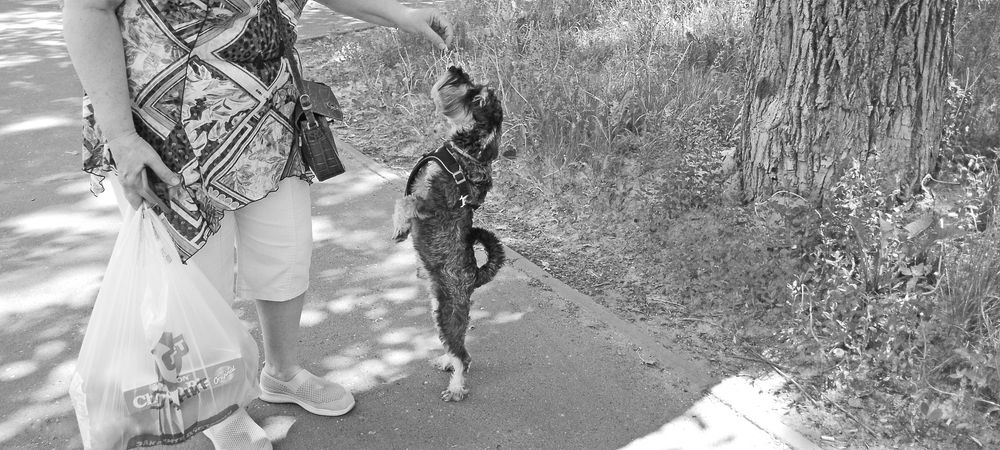 Фотография автора Клавдия Васильева