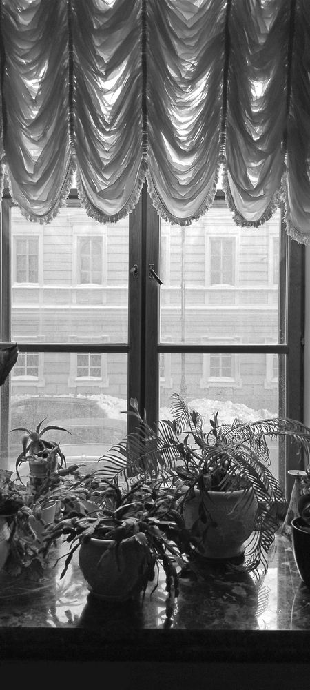 Фотография автора Клавдия Васильева