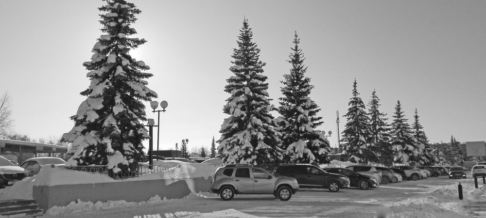 Фотография автора Клавдия Васильева