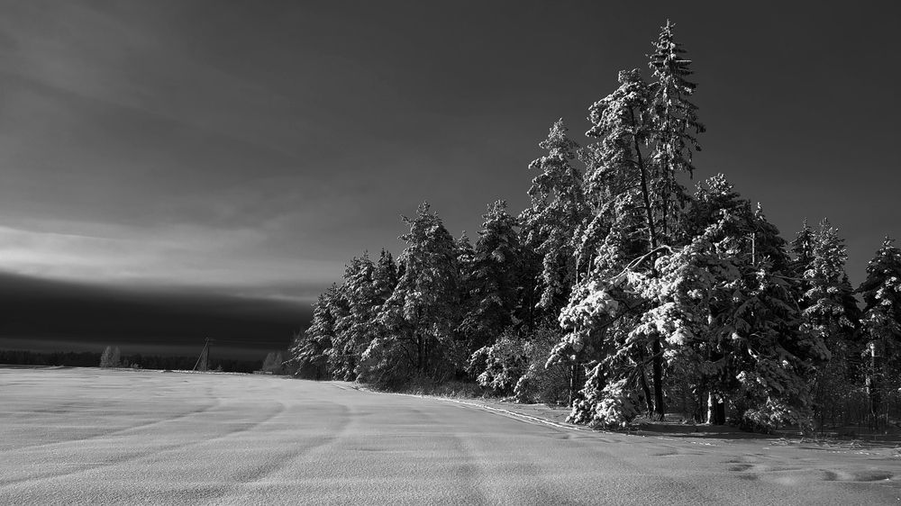 Photograph by ANDREY PERESHEIN