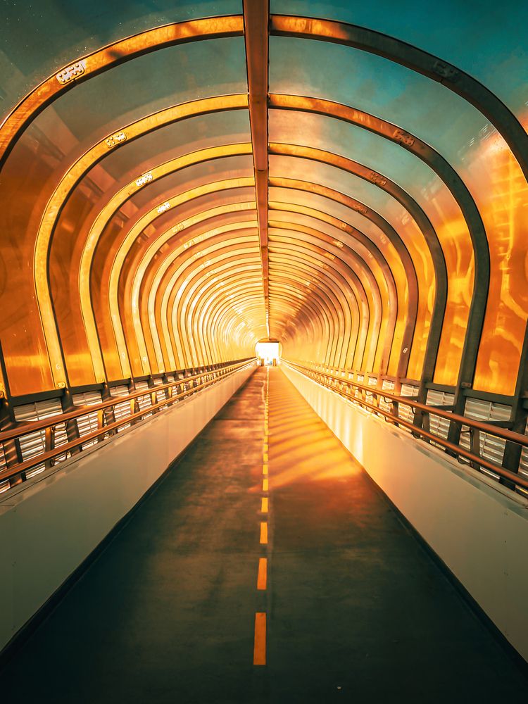 Photograph by Елена Шамраева