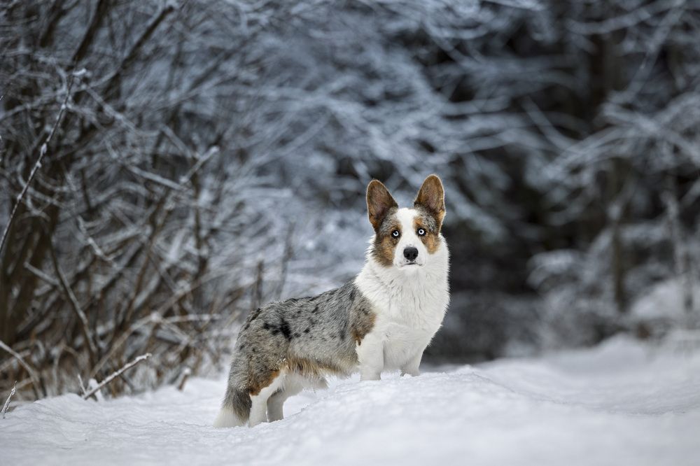 Photograph by Мария Комратова