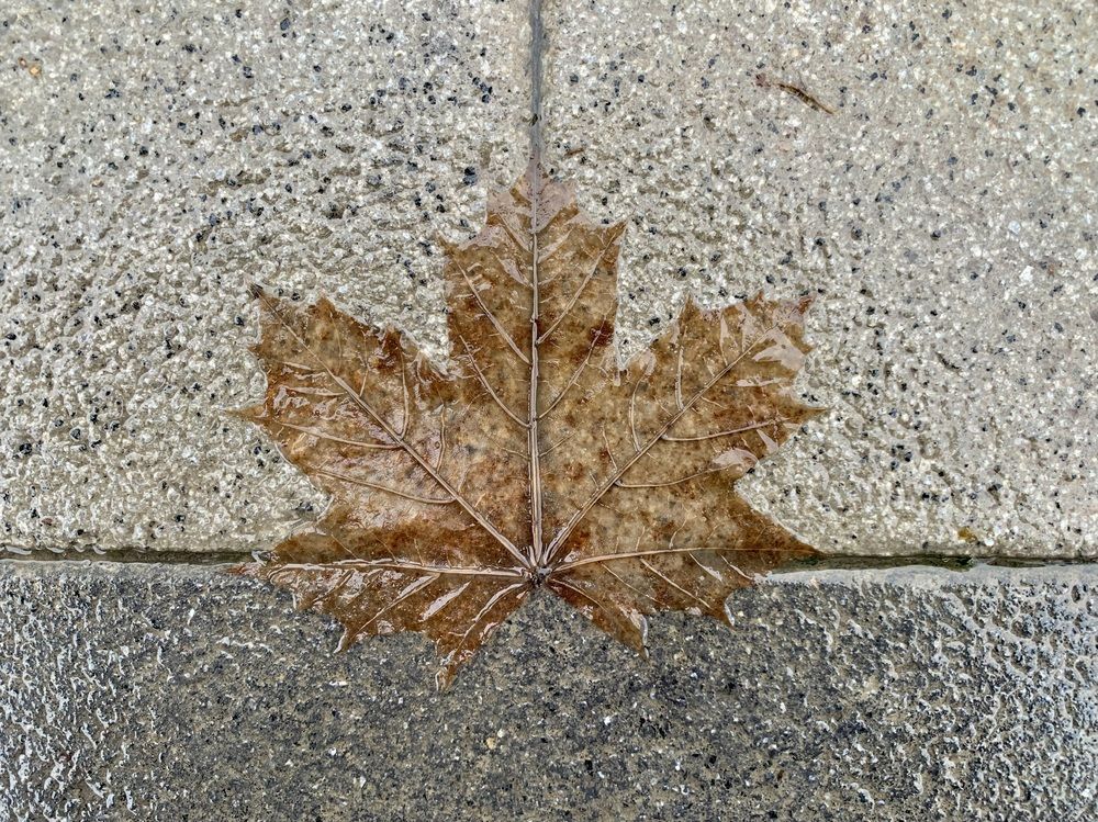 Photograph by Ионова Татьяна