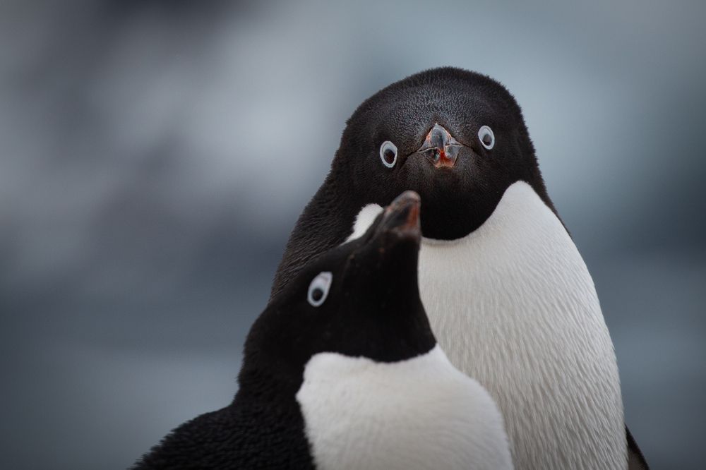 Photograph by Ольвия Яковлева