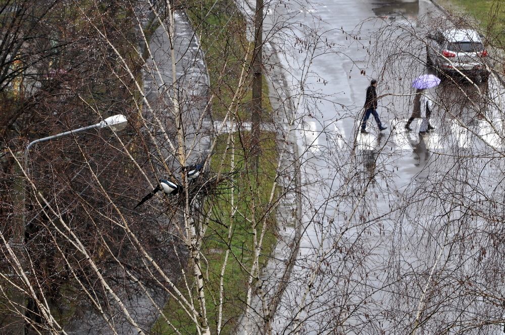 Photograph by Светлана