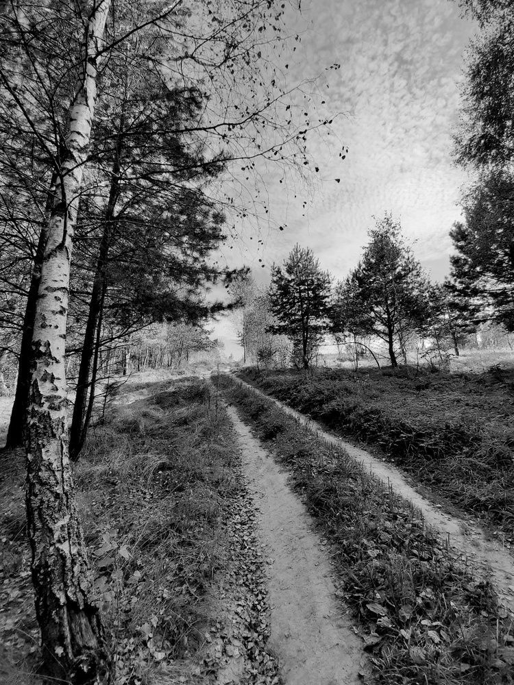 Photograph by Жанна Нечаева